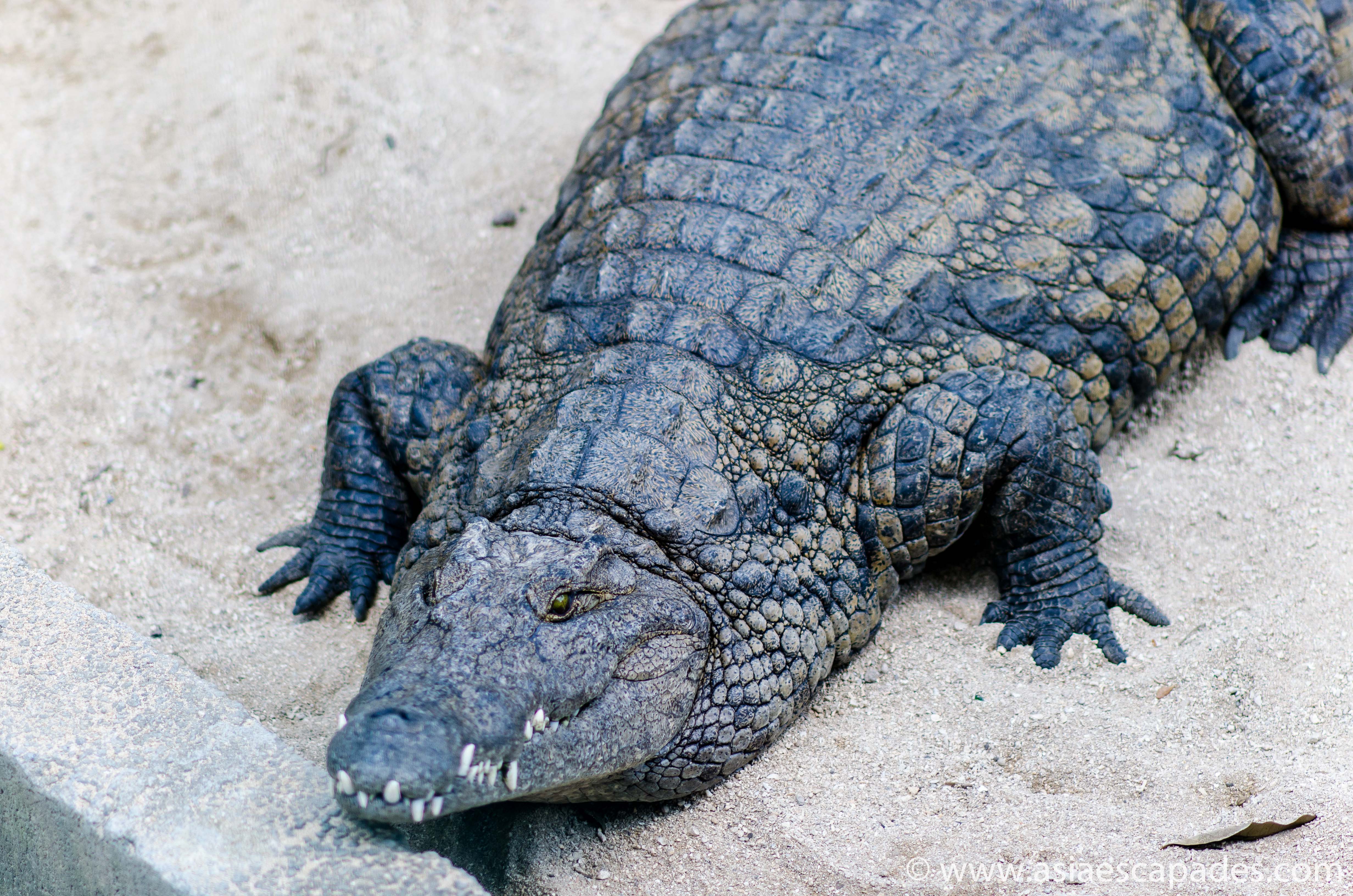 La Vanille Nature Park